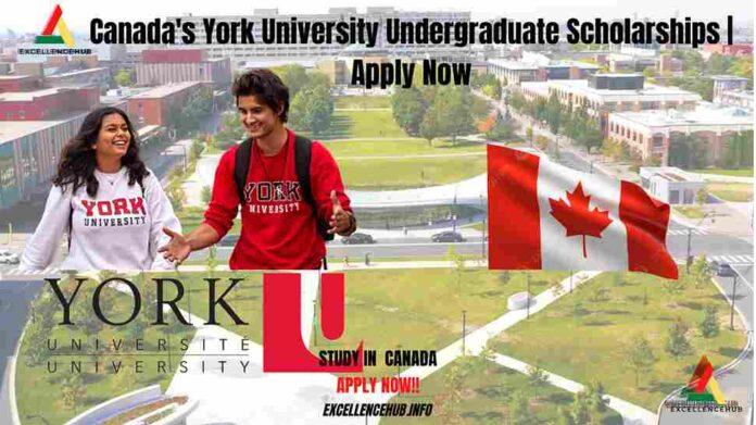 Canada's York University Undergraduate Scholarships | Apply Now