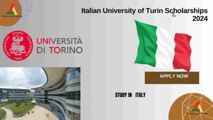 Italian University of Turin Scholarships 2024