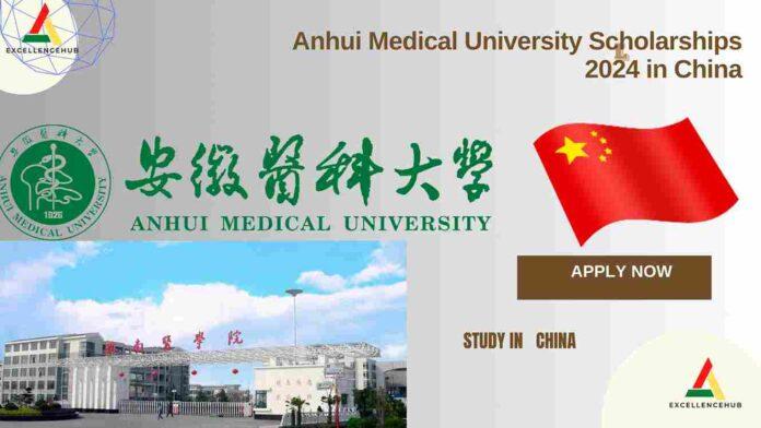 Anhui Medical University Scholarships 2024 in China