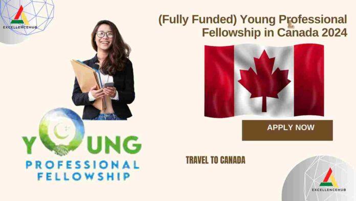 (Fully Funded) Young Professional Fellowship in Canada 2024