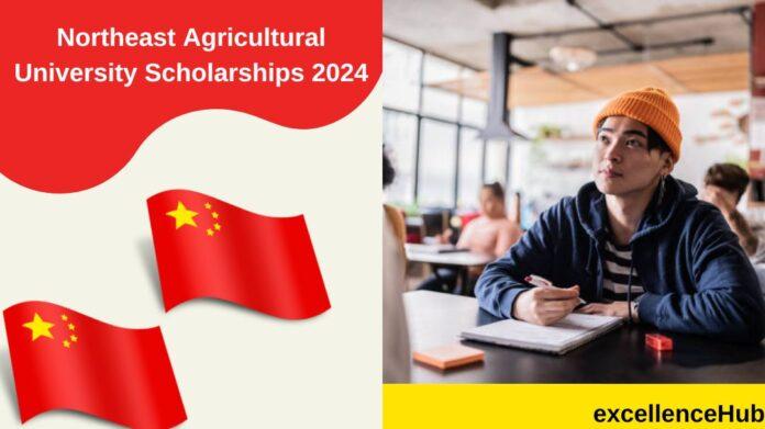 Northeast Agricultural University Scholarships 2024