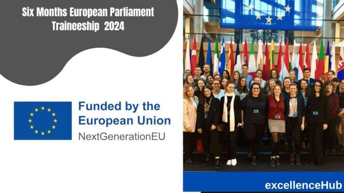 Six Months European Parliament Traineeship 2024