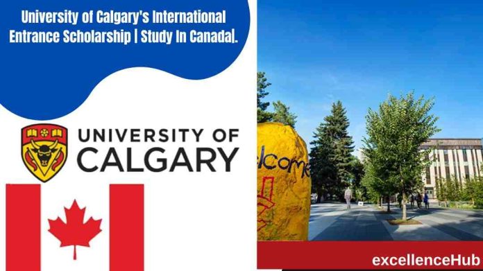 University of Calgary's International Entrance Scholarship | Study In Canada|.