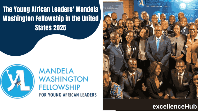 is the centrepiece of the US Government's Young African Leaders Initiative (YALI).