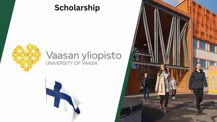 Finland's University of Vaasa Scholarships 2025|Study In Finland.